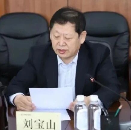 鞍钢集团众元产业发展有限公司原董事长刘宝山被查