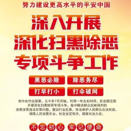 努力建设更高水平的平安中国—深入开展深化扫黑除恶专项斗争工作 努力建设更高水平的平安中国—深入开展深化扫黑除恶专项斗争工作