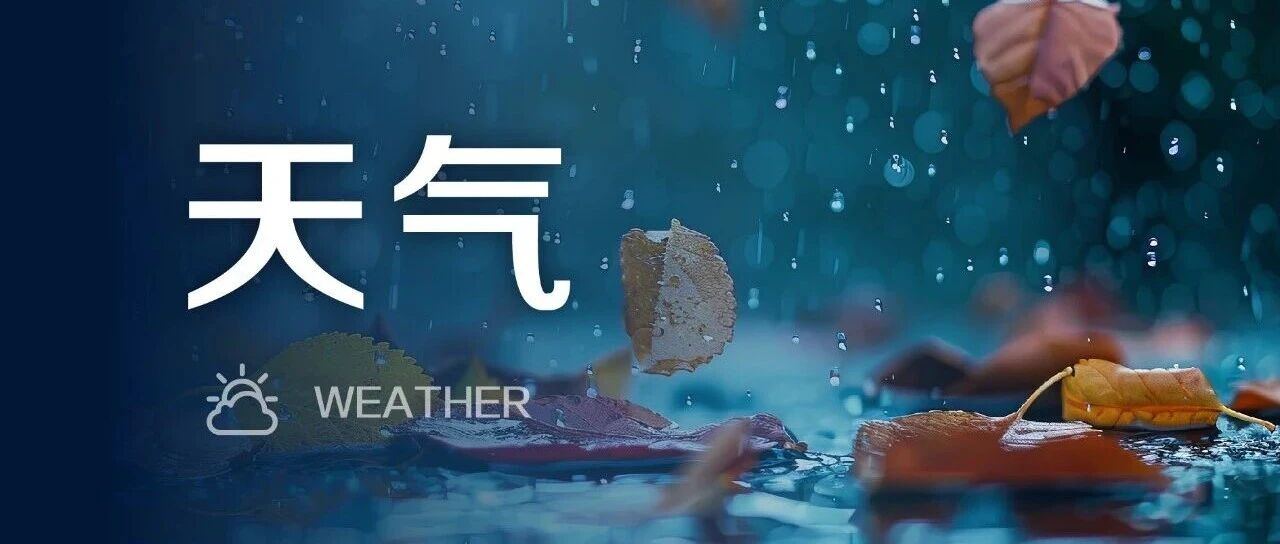 6℃！大到暴雨、阵风7级，江苏天气最新预测