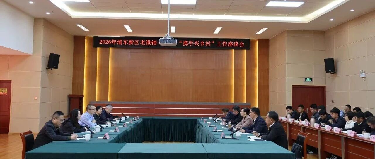 2026年浦东新区老港镇—兰坪县“携手兴乡村”帮扶工作座谈会召开