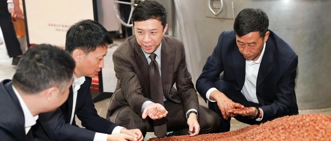 品质第一 酿好酒 汪博炜总经理调研酱香郎酒2026批次重阳下沙生产