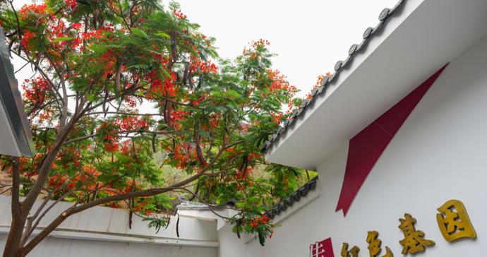 赓续长征精神 奋进复兴征程·长征壮歌丨皎平渡的7天7夜 赓续长征精神 奋进复兴征程·长征壮歌丨皎平渡的7天7夜