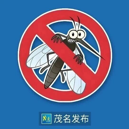 别大意！广东入秋，防蚊依旧不能停