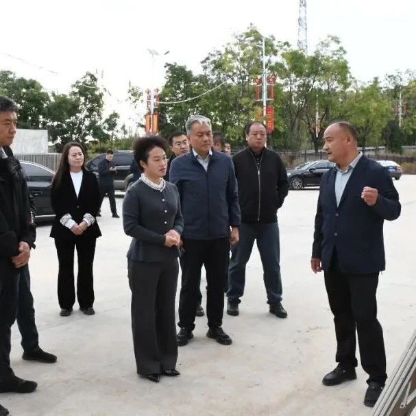 李晶实地调研生态环保工作