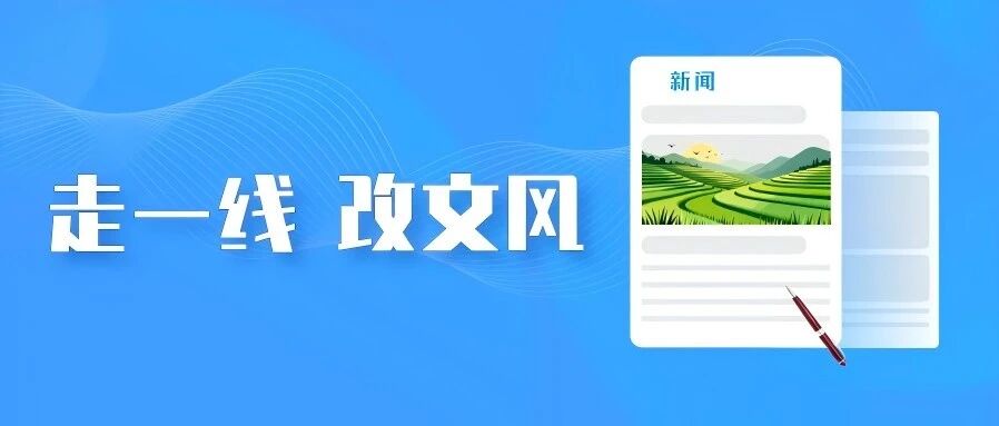走一线 改文风 | 齐家窝铺村的桔梗不愁卖