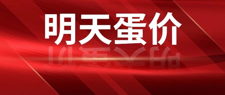 2026.10.21明天鸡蛋价格行情早参考