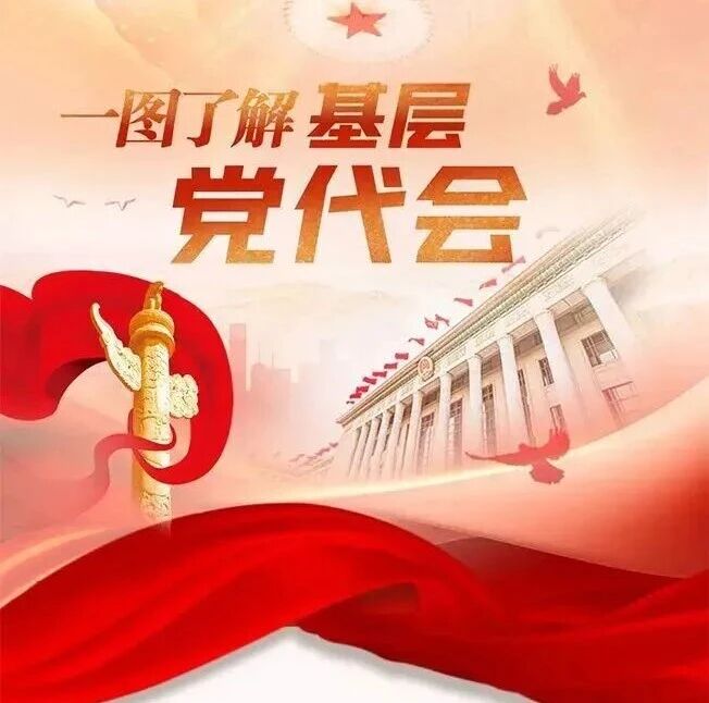 带你了解基层党代会如何召开 带你了解基层党代会如何召开