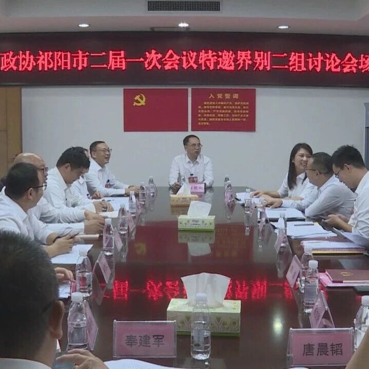 祁阳市政协委员分界别组讨论审议政协常委会工作报告和提案工作报告