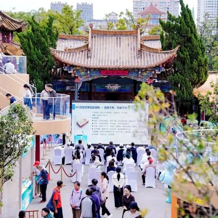 昆明发布中医药旅居地图 昆明发布中医药旅居地图