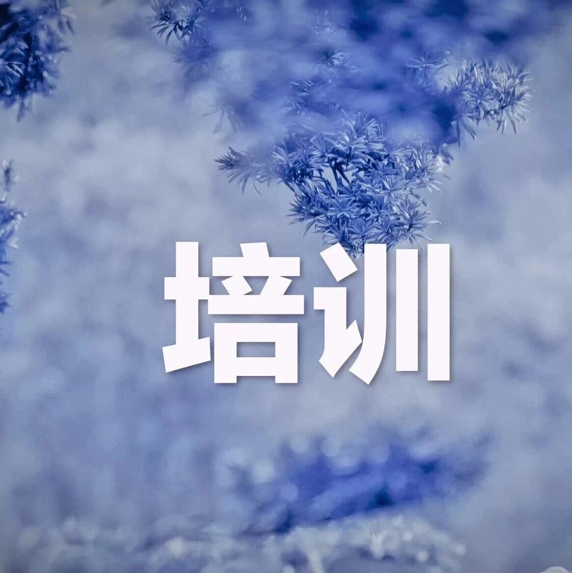 克山县组织召开企业安全生产主体责任落实培训会 克山县组织召开企业安全生产主体责任落实培训会
