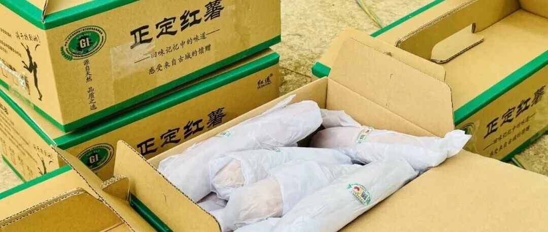 【乡村行·看振兴】国字号地标赋能特色产业 “正定红薯”助力乡村全面振兴 【乡村行·看振兴】国字号地标赋能特色产业 “正定红薯”助力乡村全面振兴
