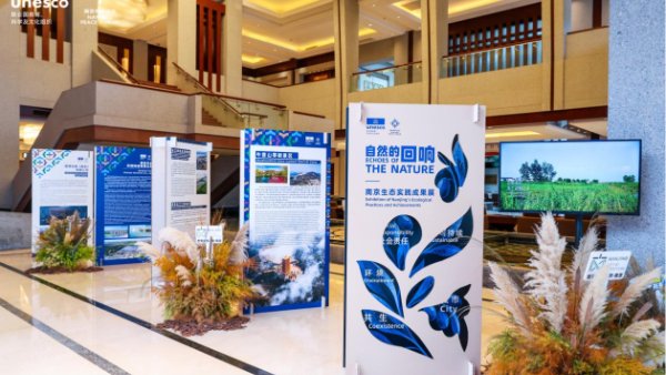 2026南京和平论坛向世界传递绿色力量 2026南京和平论坛向世界传递绿色力量