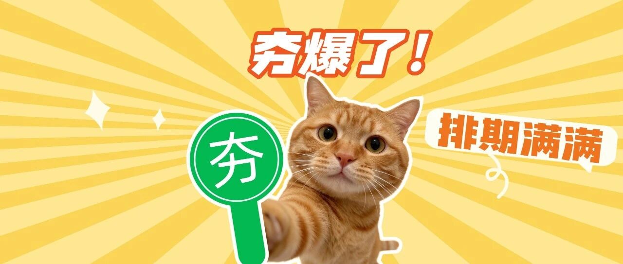接下来的海口,展会+1+1+1……… 接下来的海口,展会+1+1+1………