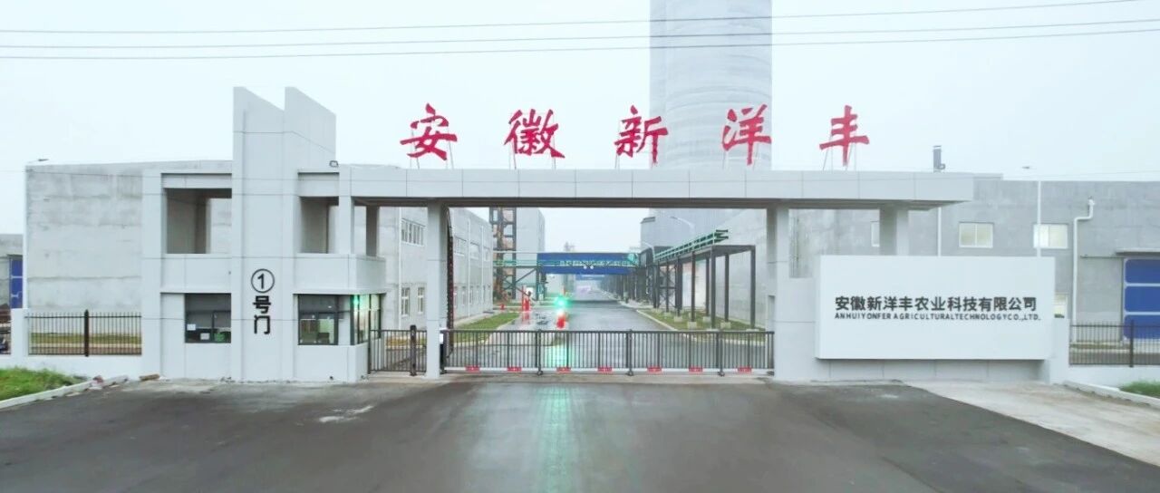 备战冬储春耕!新洋丰蚌埠基地80万吨产能就位 备战冬储春耕!新洋丰蚌埠基地80万吨产能就位