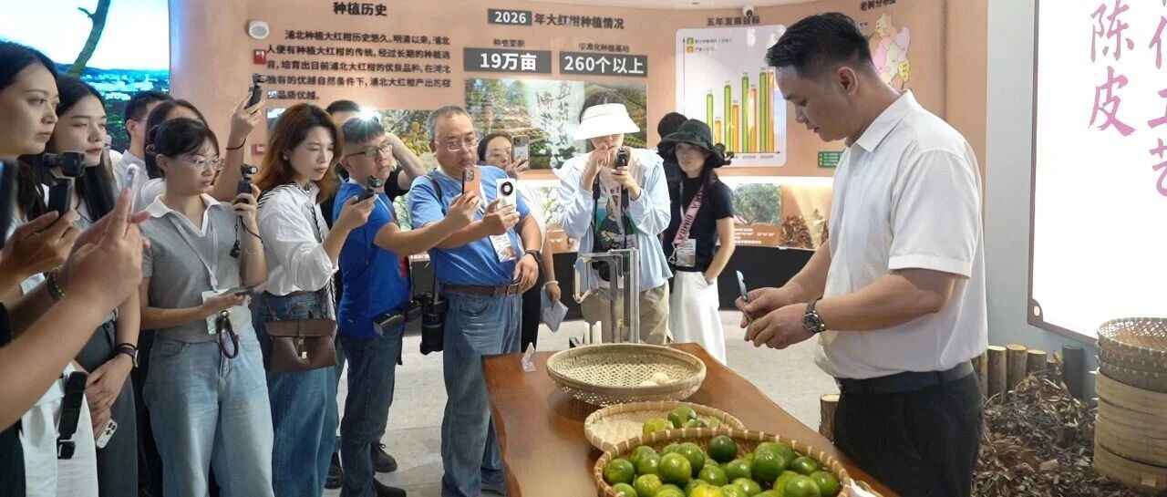 “民族工作八桂行·潮起运河岸 石榴映八桂”宣传采风团走进浦北陈皮文化体验馆采风