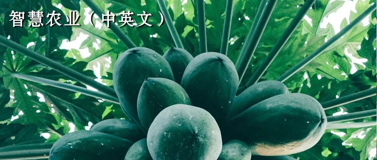 光声光谱技术在农林产品品质评估中的应用研究进展 光声光谱技术在农林产品品质评估中的应用研究进展