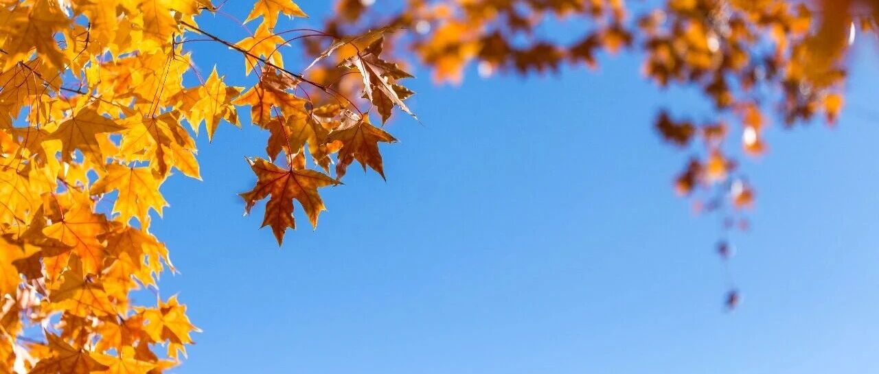 晴好秋日上线！白天最高15℃，早出晚归请注意添衣保暖，谨防感冒
