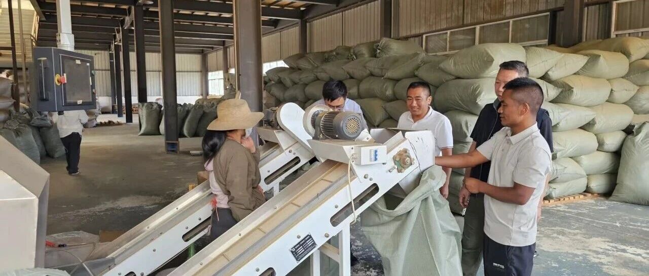 关注民生 | 沧源:党建引领提质增效 就业帮扶车间拓宽群众就近增收路 关注民生 | 沧源:党建引领提质增效 就业帮扶车间拓宽群众就近增收路