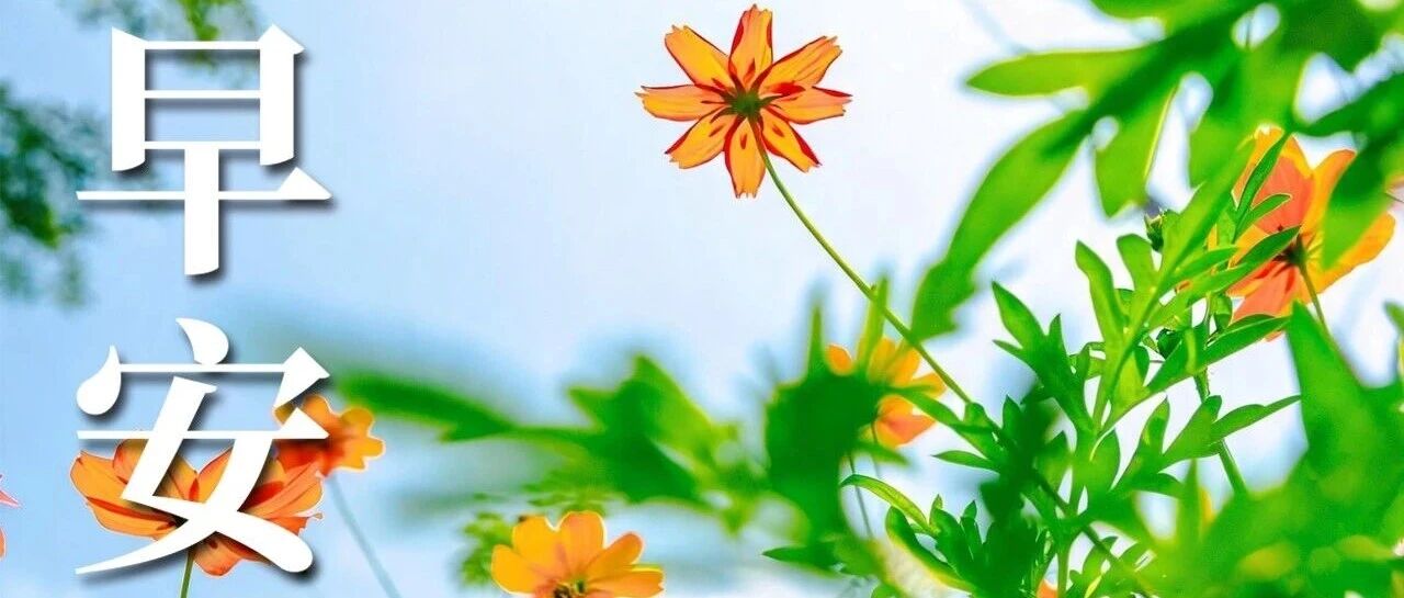 早安 津南 | 秋冬皮肤干痒高发，别把这几种“痒”当干燥