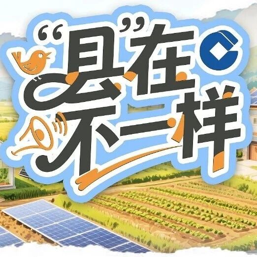 “县”在不一样丨“苦药材”里的“甜买卖” “县”在不一样丨“苦药材”里的“甜买卖”