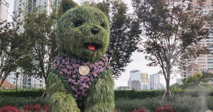 打薄毛发换上秋菊小背心，潦草小狗不谢幕，助阵上海菊花展