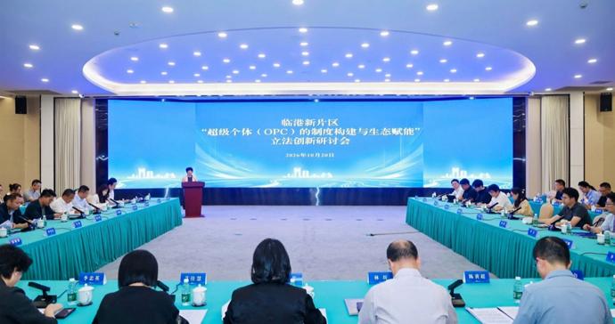 AI让“一人公司”成真，制度如何跟上？临港举行立法创新研讨会率先探索