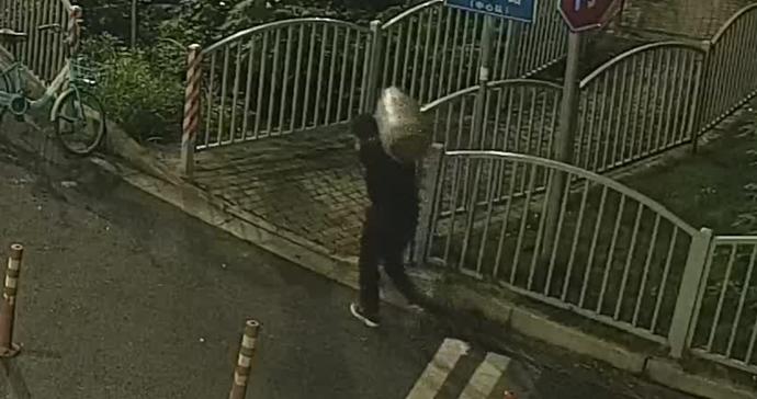 水上黑影深夜进村盗窃，浦东警方水陆合围一举擒获窃贼