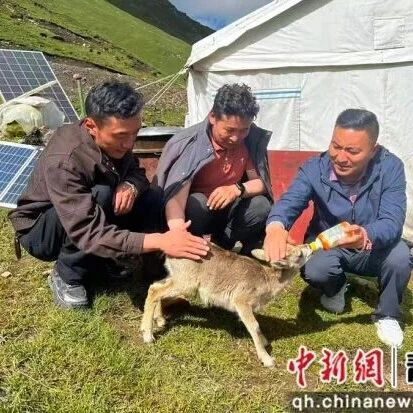 【央媒看兴海】海南兴海：持续加大全域生态保护力度