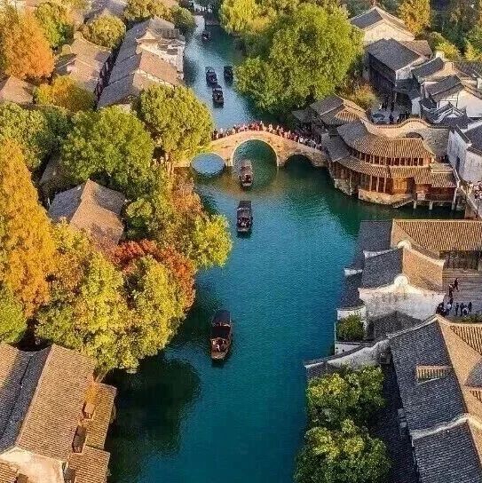 2026年世界互联网大会乌镇峰会日程来了｜首次上线观众预约平台，快来报名吧~