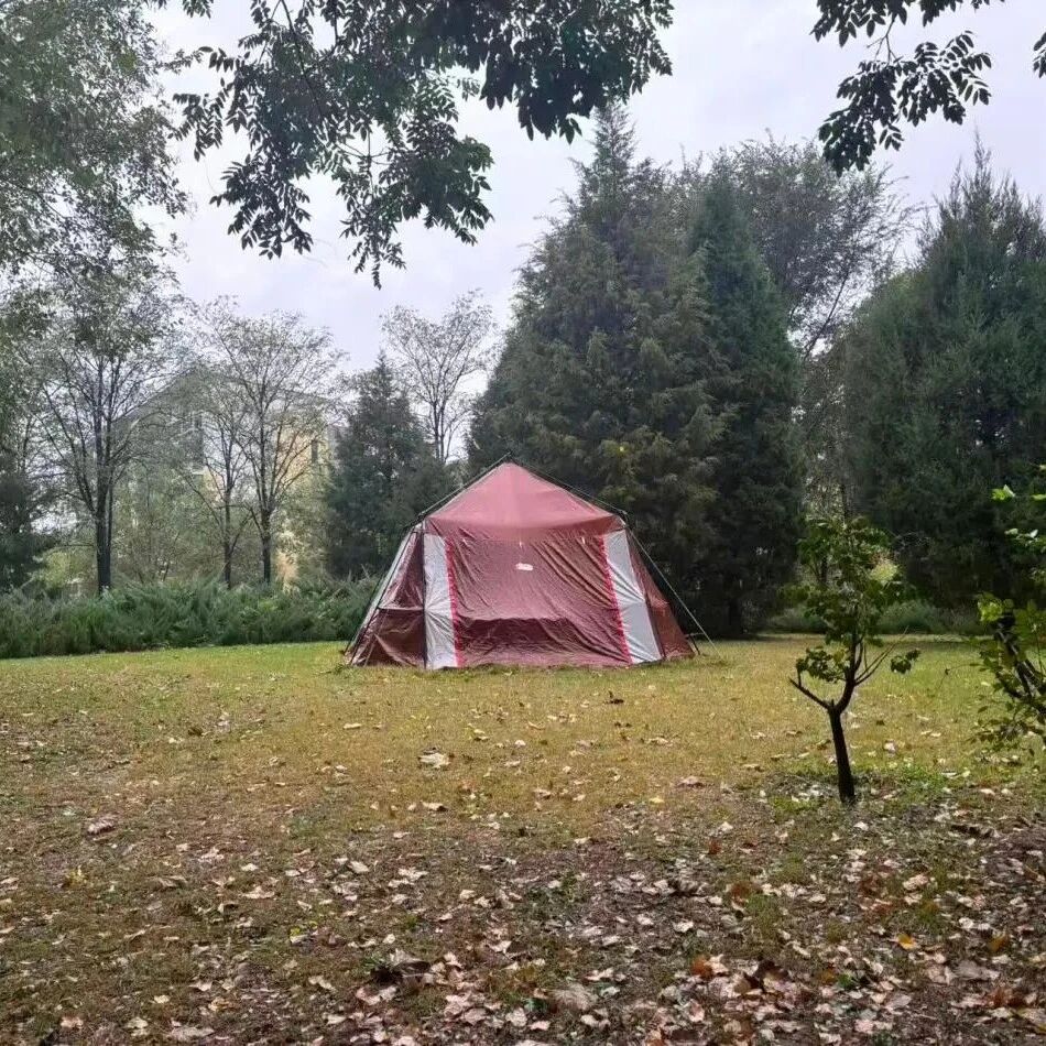上锁帐篷扎在公共绿地一个多月,当事人回应 上锁帐篷扎在公共绿地一个多月,当事人回应