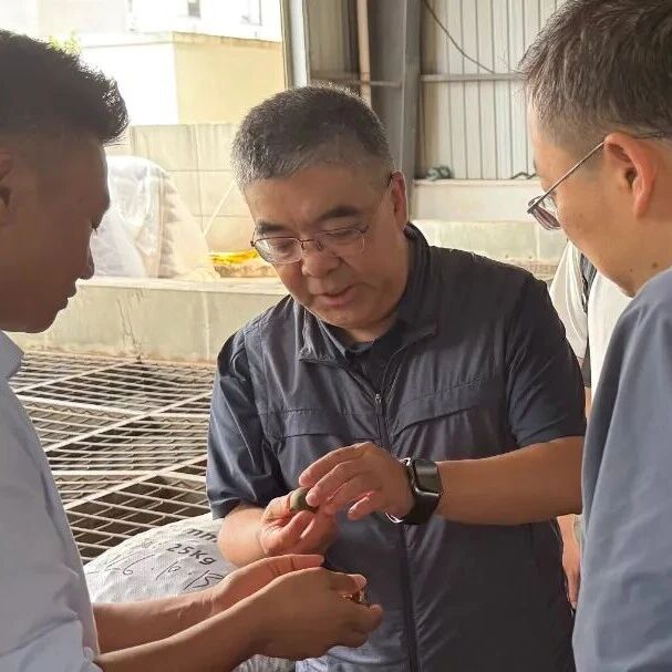 中国农业大学调研组到镇康县开展调研考察 中国农业大学调研组到镇康县开展调研考察