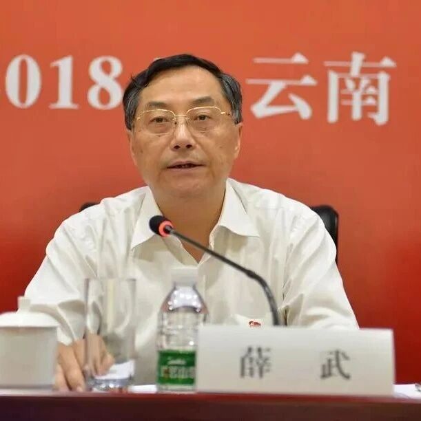 南方电网 薛武被查!曾任云南电网董事长,南方电网新兴业务部总经理 南方电网 薛武被查!曾任云南电网董事长,南方电网新兴业务部总经理