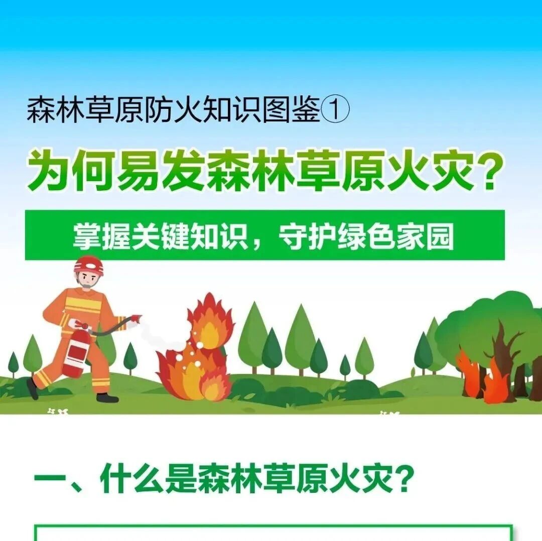 【森林草原防灭火】森林草原防火知识图鉴合集 【森林草原防灭火】森林草原防火知识图鉴合集