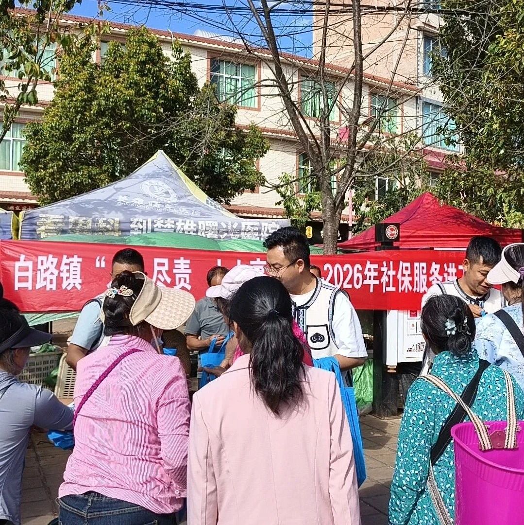 【乡镇动态】武定县白路镇：“社保服务进万家”活动走深走实