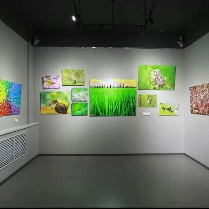 科技映时代 诗画绘龙江｜首届黑龙江省手机摄影大展（春夏赛季）作品展开幕