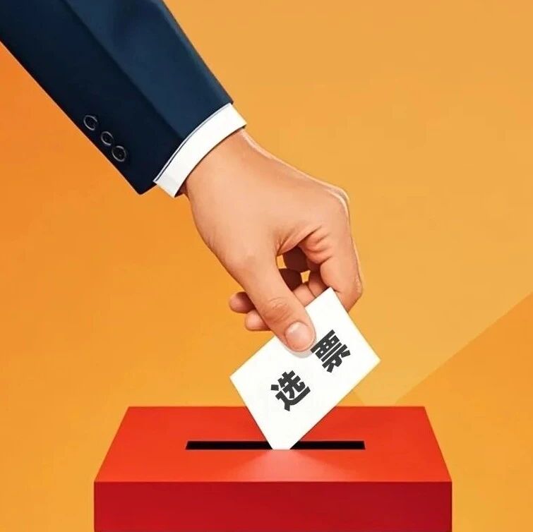 严明换届纪律“十严禁”