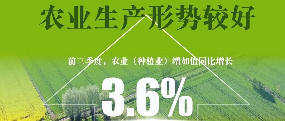 一图读懂 | 国家统计局:前三季度农业生产形势较好,畜牧业平稳增长 一图读懂 | 国家统计局:前三季度农业生产形势较好,畜牧业平稳增长