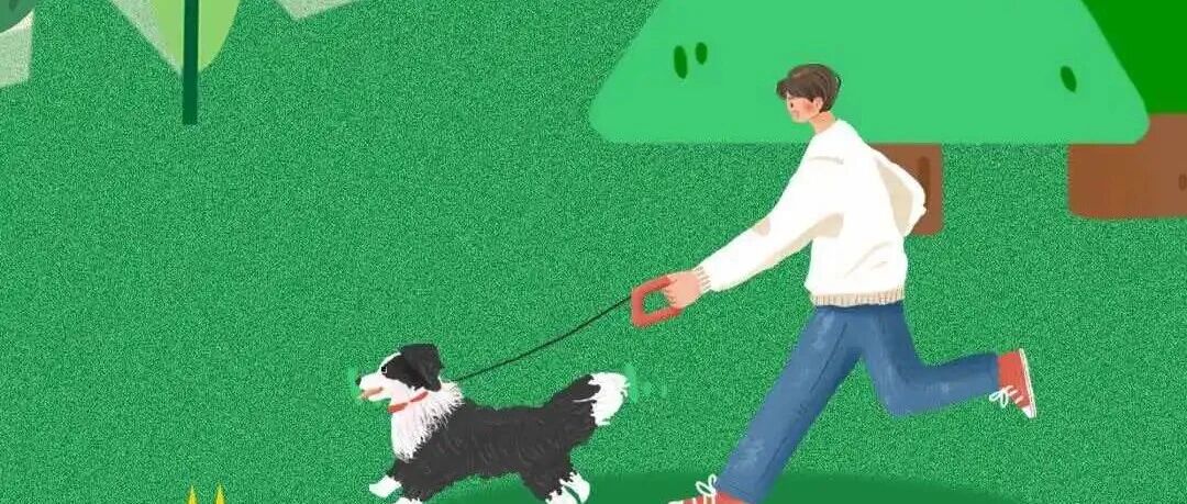 遵守公约 文明养犬(海报) 遵守公约 文明养犬(海报)