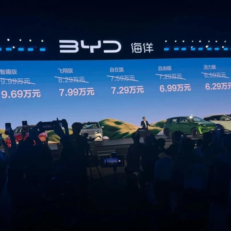 取消传统仪表盘！比亚迪第二代海鸥上市
