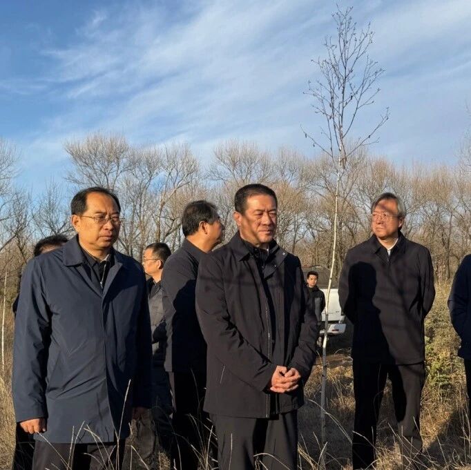 右玉要闻 | 国家林草局党组成员、副局长张利明深入我县调研