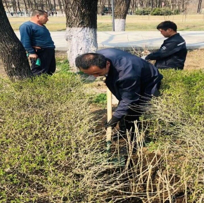清除景区枯枝杂草 助力秋季防火安全 清除景区枯枝杂草 助力秋季防火安全