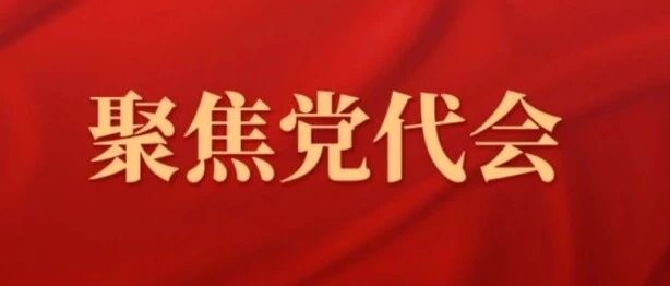 聆听党代表心声,回望坡头五年奋进足迹|精彩这五年⑧ 聆听党代表心声,回望坡头五年奋进足迹|精彩这五年⑧