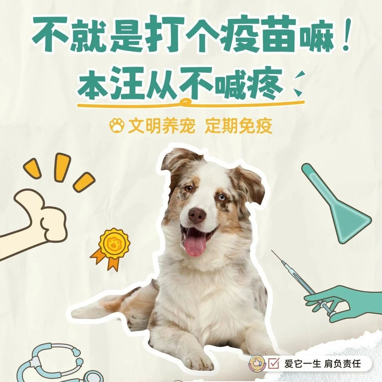 【城市治理提质攻坚】“宠”我做起 你我共行 【城市治理提质攻坚】“宠”我做起 你我共行