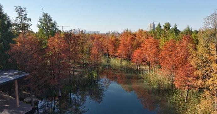 百余城市秋假模式将启,11月旅游市场“淡季不淡” 百余城市秋假模式将启,11月旅游市场“淡季不淡”