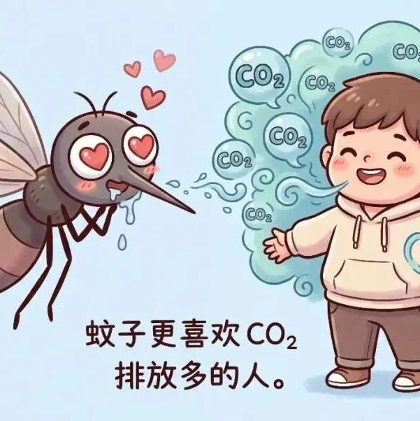 秋后蚊子来袭!预防“两热” 赶快消灭幼虫藏身地→ 秋后蚊子来袭!预防“两热” 赶快消灭幼虫藏身地→