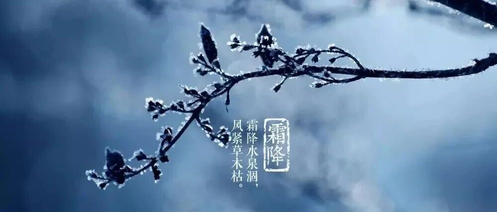 【跟着节气学养生】霜降——滋阴润燥,平补御寒 【跟着节气学养生】霜降——滋阴润燥,平补御寒