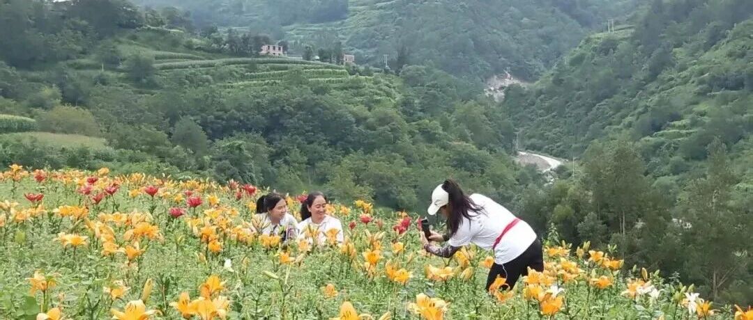 鹤庆东坡的魅力