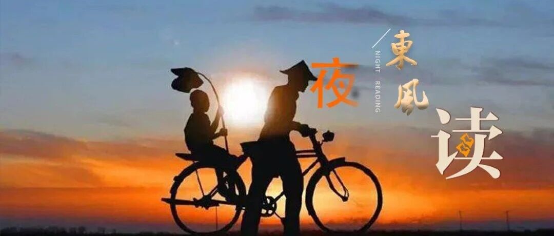 【夜读 · 散文】归乡（上）
