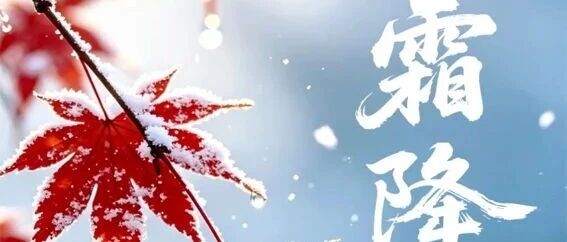 早安 鹤岗 早安 鹤岗