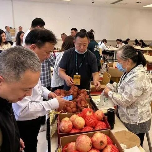 一场展会，三段接力！丘北好物从鲁迅公园出发，接续开启虹口延展、市级展销新征程
